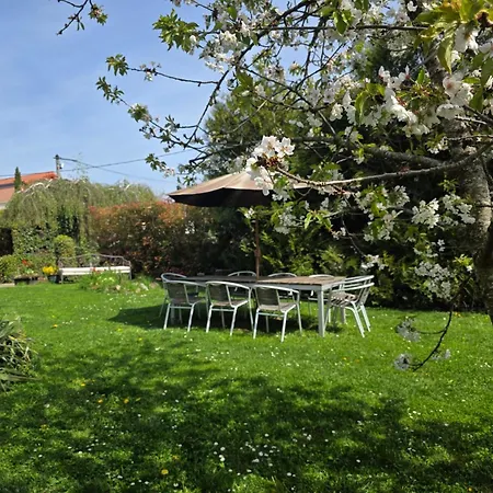 Apartment Le Nid Des Volcans, Jardin, Brasero & Bain Nordique *